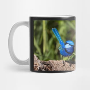 Splendid Fairy Wren (Male) Western Australia Mug